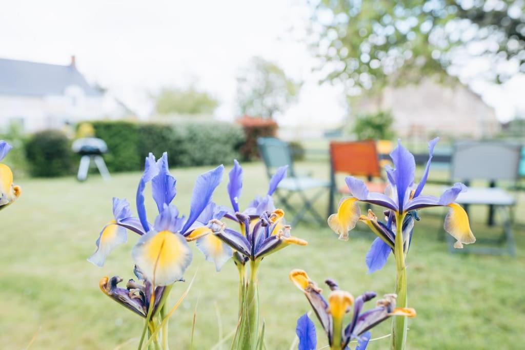 Le Beaumont • La Belle Campagne • La Plenitude Villa Déols Eksteriør bilde
